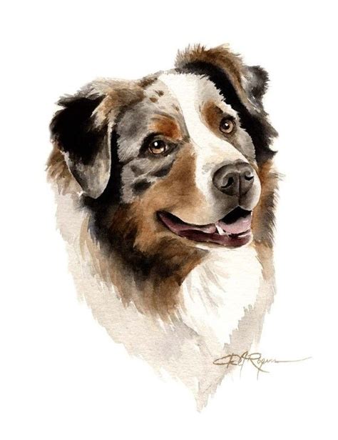 Australian Shepherd Art Print By Watercolor Artist Dj Rogers Etsy
