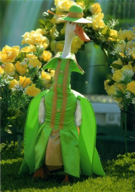 Farmer Dresses Up Ducks For Elaborate Fashion Show
