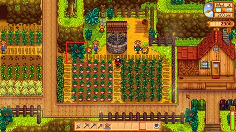 Bushes On Hilltop Farm Layout Stardewvalley