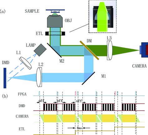 A Schematic Of The Imaging System Dmd Digital Micromirror Device