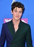 Shawn Mendes On the MTV Video Music Awards Red Carpet - Shawn Mendes ...