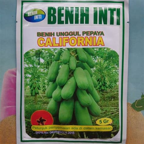 Benih Bibit Pepaya California Calina Ipb9 5gr Shopee Indonesia