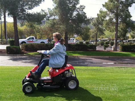 A Riding Mower For Small And Big Lawns Ramblings From A