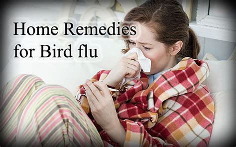 Top 7 Home Remedies For Bird Flu Natural Remedies For Bird Flu