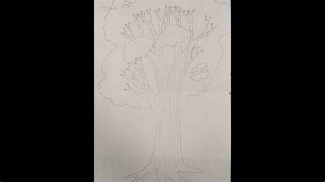 How To Draw A Tree YouTube
