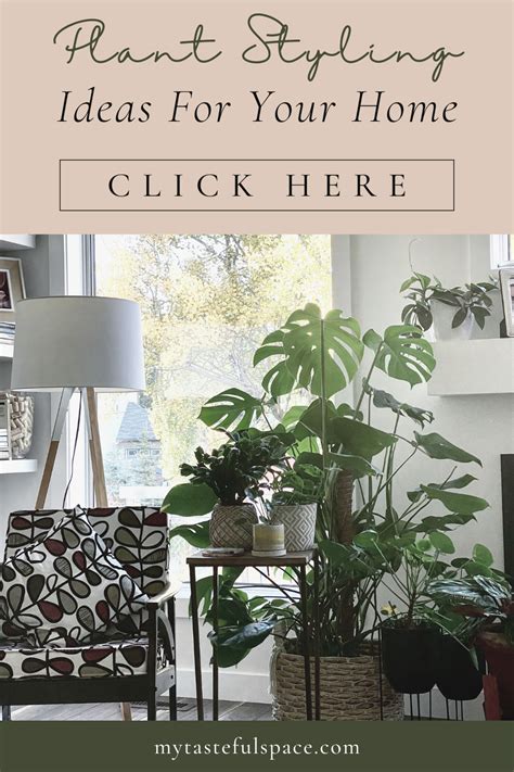10 Unique Plant Decorating Ideas For Your Home My Tasteful Space In