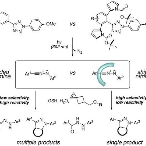 A Copper Catalyzed Azide Alkyne Cycloaddition B Rutheniumpromoted