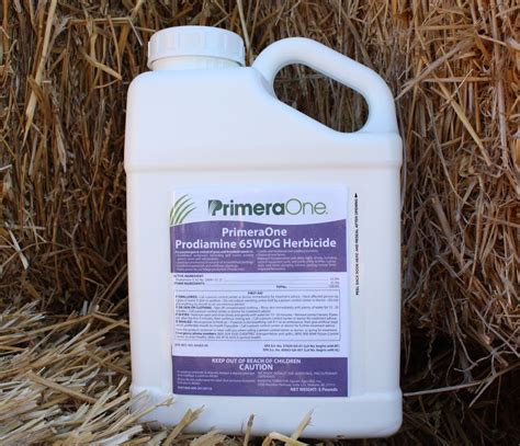 Poa Annua Pre Emergent Herbicide A Comprehensive Guide Martlabpro