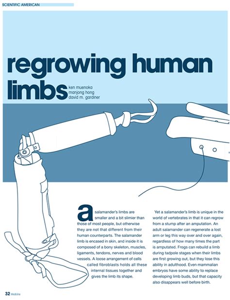 Regrowing Human Limbs On Behance