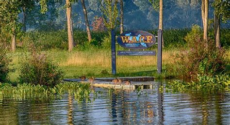 Wacf Wawasee Area Conservancy Foundation Lake Wawasees Watershed