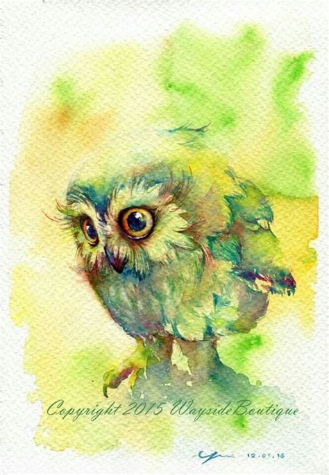 Funny Owl Owl Watercolor Watercolor Sketchbook Watercolor Paintings