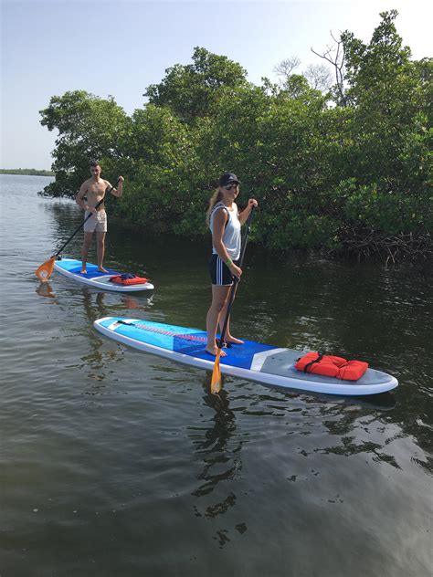 Naples Paddleboard Naples Marco Island And Everglades