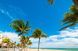 Las Olas Beach – Coastal Paradise with top Restaurants and Shopping in ...