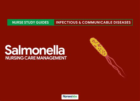 Salmonella Enterica Is The Type Species And Is Further Divided Into