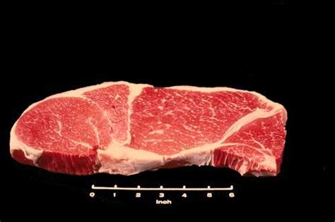 A bit tough and best suited as corned beef or pot roast. Beef Meat Identification | Animal Science