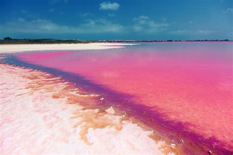 Admire The Pink Hues Of Laguna Salada De Torrevieja In