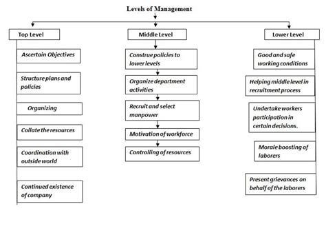 Three Levels Of Management Top Middle And Lower Studiousguy