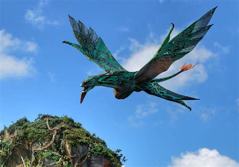 Pandora World Of Avatar At Disneys Animal Kingdom Flight Of Passage