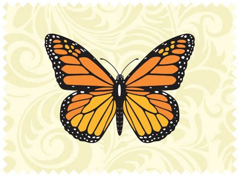 Free 143 Butterfly Monarch Svg SVG PNG EPS DXF File