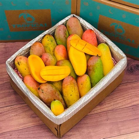 Rainbow Mango Box Tropical Fruit Box