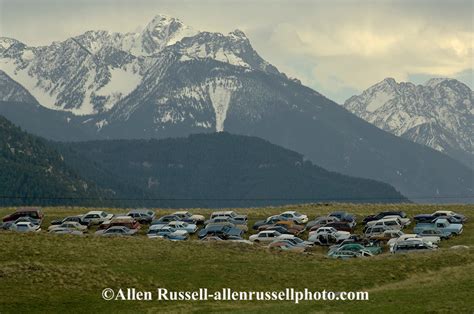 Salvage Yard With Absaroka Mountains In Back Livingston Montana