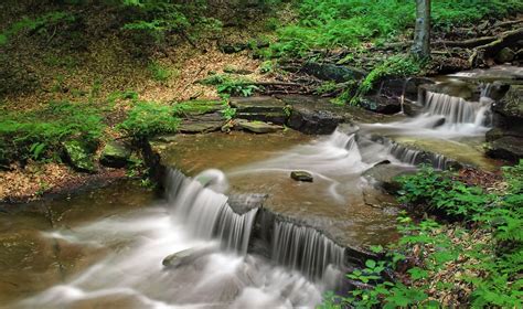 Imagen Gratis Agua Río Naturaleza Bosque Verde Ecología Arroyo