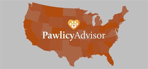 Survey Finds Us Pet Owners Cant Keep Up With Costs Pawlicy Advisor