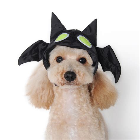 Halloween Bat Dog Hat By Dogo With Same Day Shipping Baxterboo