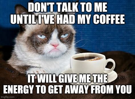 Image Tagged In Grumpy Cat Coffee Imgflip