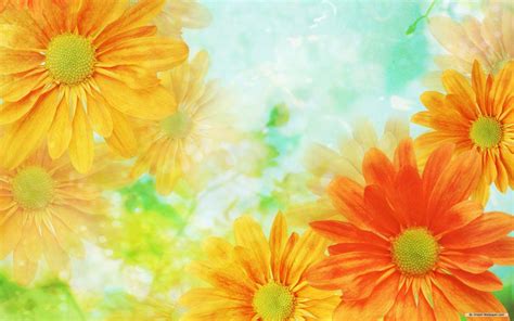 Hd to 4k image designs, all for free! Flowers Backgrounds - Wallpaper Cave