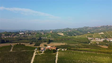 Vineyard Aerial View In Langhe Piedmont Italy 15286354 Stock Video At