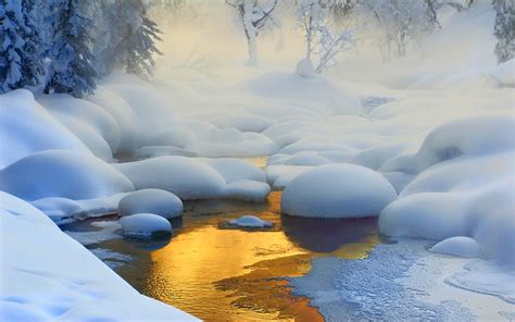 Nature Landscape Creeks Sunrise Forest Snow Frost Mist Cold