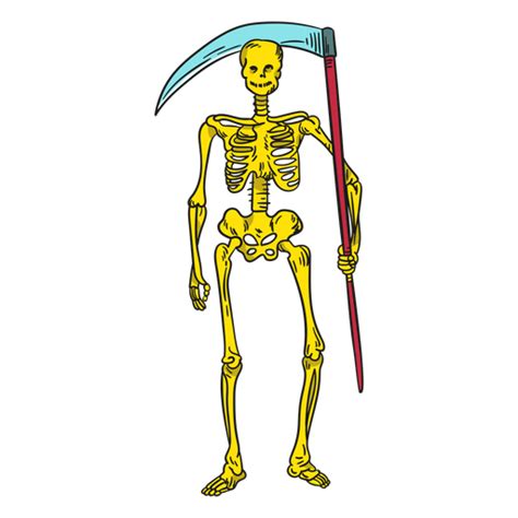 vector esqueleto humano png clipart humano esqueleto cuerpo humano images porn sex picture