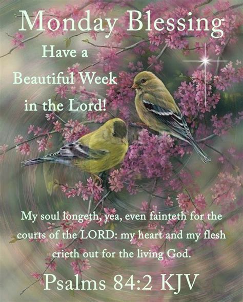 Lords Beautiful Week Monday Blessing Pictures Photos