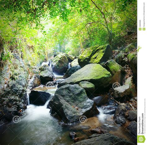 Forest Photography Mountain River Royalty Free Stock
