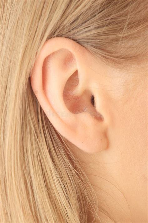 Closeup Picture Of Blond Girl Ear Stock Image Image Of Listen Hair
