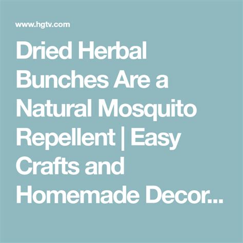 Homemade Herbal Bug Repellent Spray Bug Repellent Spray Natural