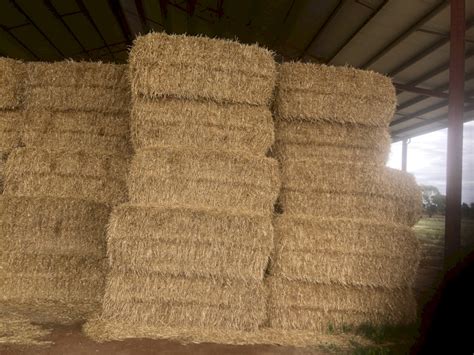 400mt Barley Straw 8x4x3 Bales Farm Tender