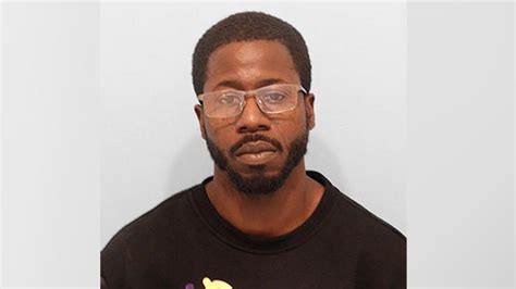 Naperville Man Faces Felony Charges After Police Seize Two Firearms