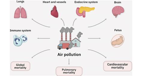 Adverse Effects Of Air Pollution On Human Health Download Scientific