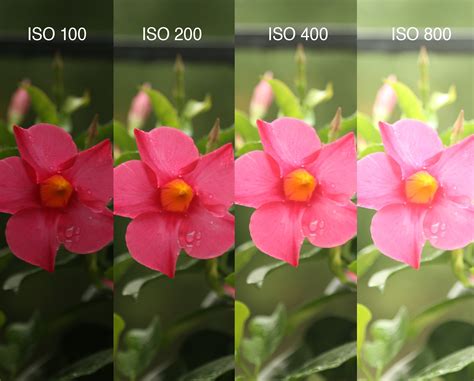 What Does High Iso Mean In Photography