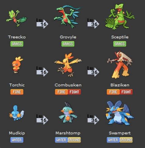 Hoen Starters And What Level They Evolve At Whats Your Number One Mines Mudkip Pokémon Amino