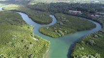 DENR Bohol RIVERs for Life - Abatan River