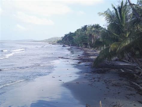 Hotel punta de águila necocli 1*. More beaches - Picture of Hotel Palma Real Necocli ...