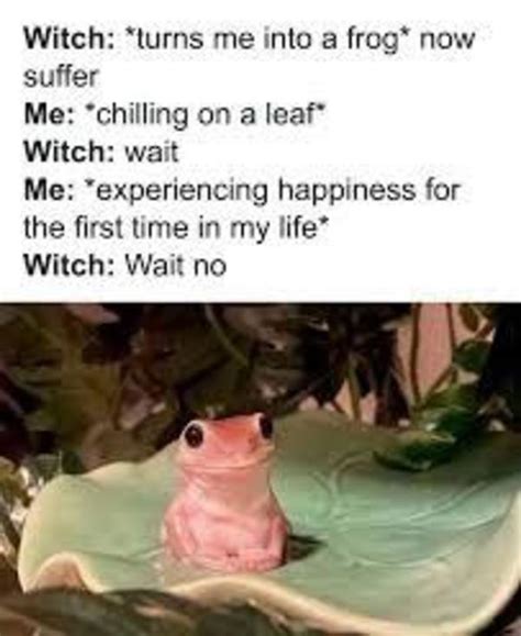 I Frog I Happy Rwholesomememes Wholesome Memes Know Your Meme