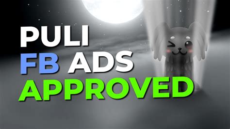 Facebook Ads Approved Xt Puli Group Trades Live Puli Token Bsc News
