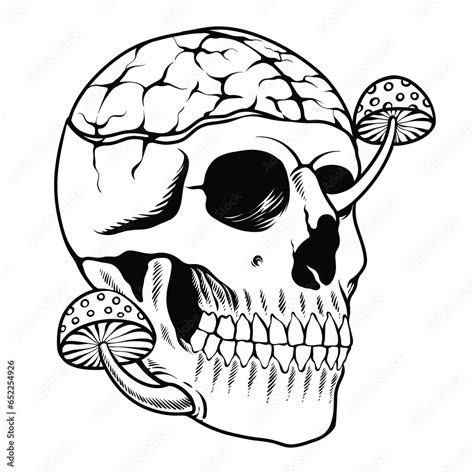 Skull Mushroom Hand Draw Vector Coloring Page Black And White Stock