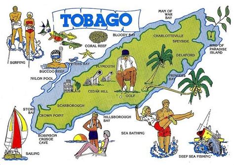 Pin On Things To Do In Tobago