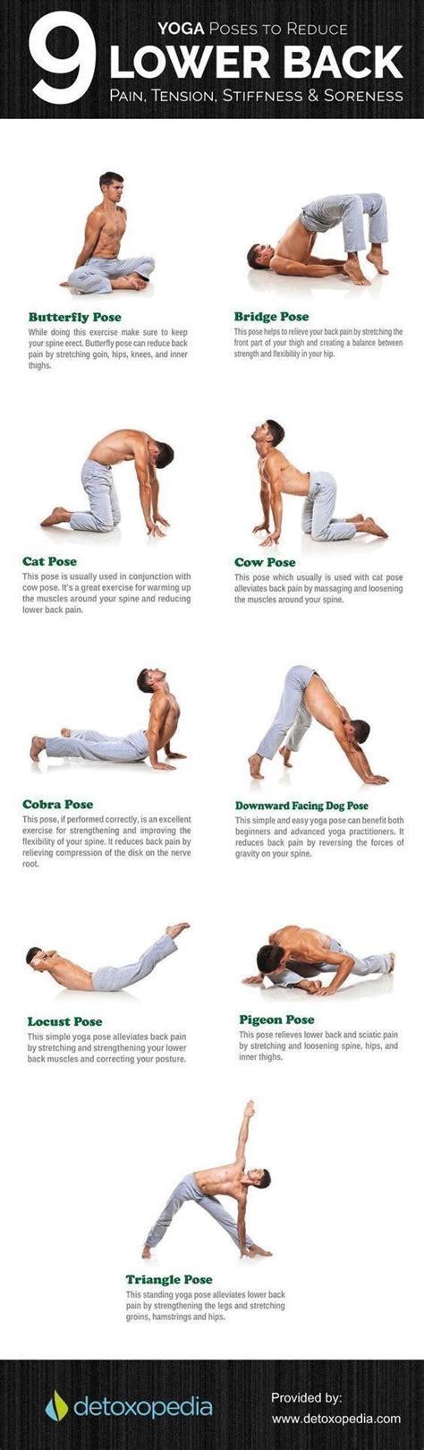 Pin by kh on تمارين اليوغا Yoga poses Back exercises Yoga