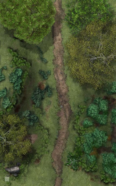 Forest Path Battle Map Battlemap Turanol Ruins Part 4 25x25 Oc